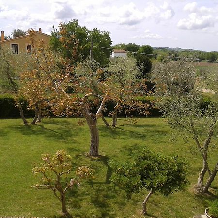 Il Punto Verde SantʼAntonio Eksteriør bilde
