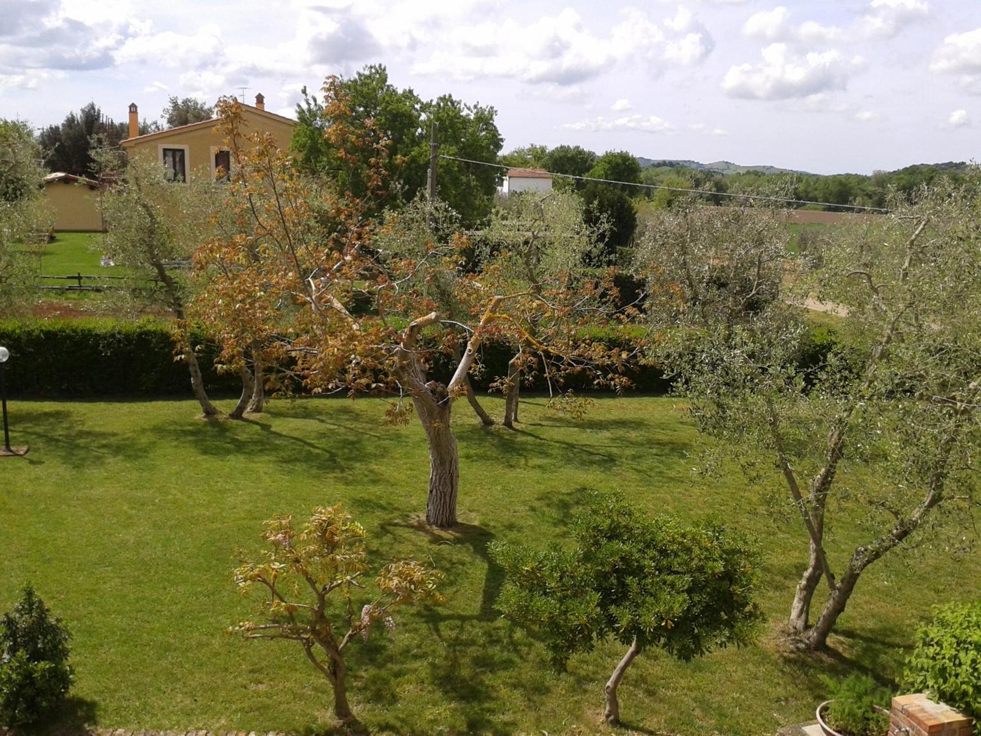Il Punto Verde SantʼAntonio Eksteriør bilde