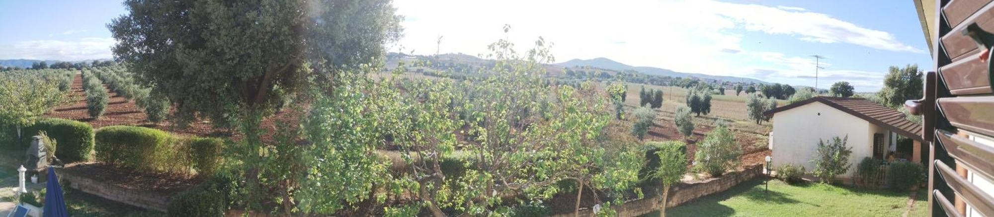 Il Punto Verde SantʼAntonio Eksteriør bilde