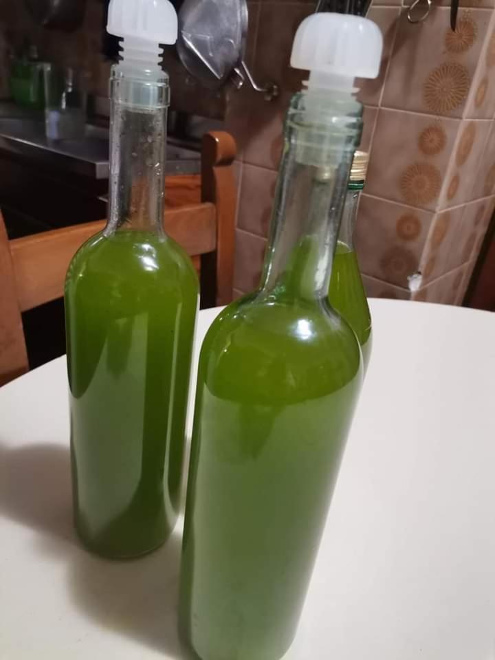 Il Punto Verde SantʼAntonio Eksteriør bilde