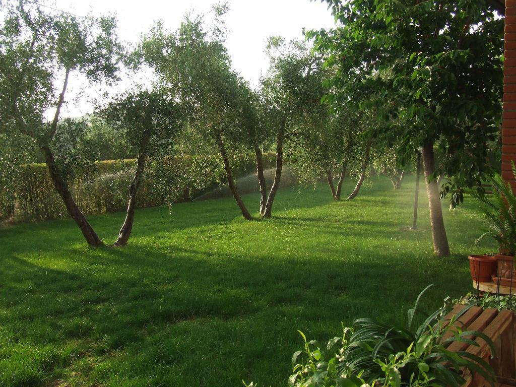 Il Punto Verde SantʼAntonio Eksteriør bilde